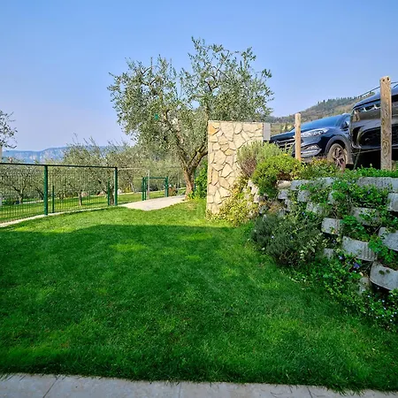 Sunny * Μπαρντολίνο